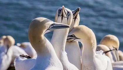 和我一样负债几十万的朋友们，你们现在过的怎么样了？