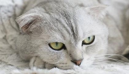 为什么很多人都不建议大家进行短线交易？