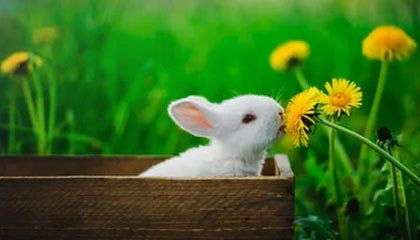 为什么比特币期货和现货价格相差多？