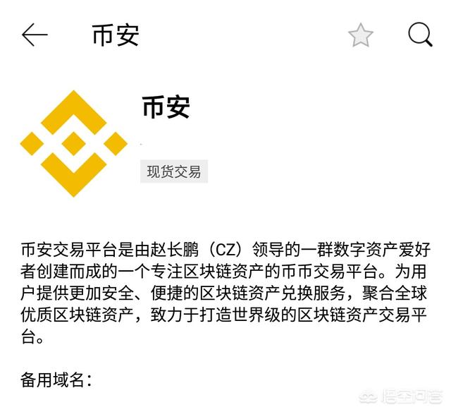 币安是一家什么样的公司？