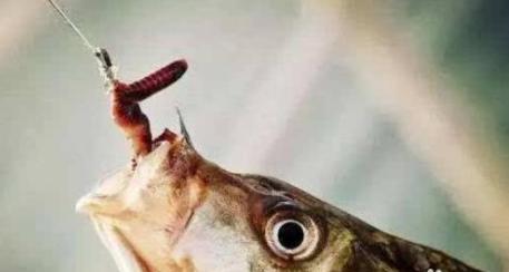 你身边有被“杀猪盘”骗的人吗<strong></p>
<p>币安行情</strong>?