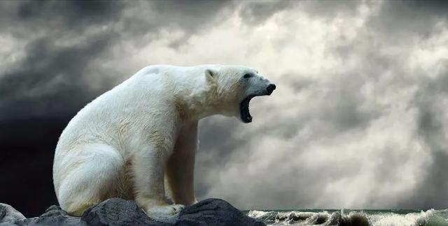 输掉近140万<strong></p>
<p>币安期货</strong>,负债累累,还有重新做个正常人的机会吗?