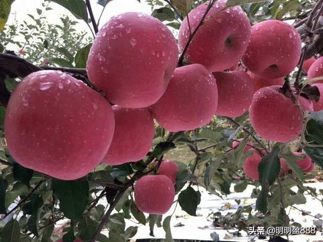 散户在一只股上长期做T可以将成本做到0以下吗？