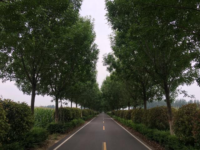 有没有被诈骗钱财的真实经历分享一下？