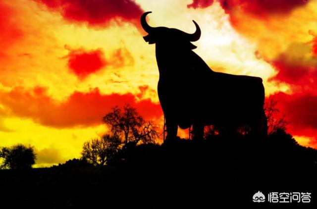 稳定币USDT突然暴跌<strong></p>
<p>币安交易汇率</strong>,如何影响整个数字货币市场?