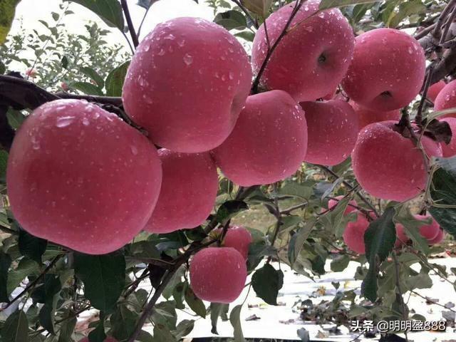 200万现金如何变成月收入2万<strong></p>
<p>币安交易杠杆</strong>?