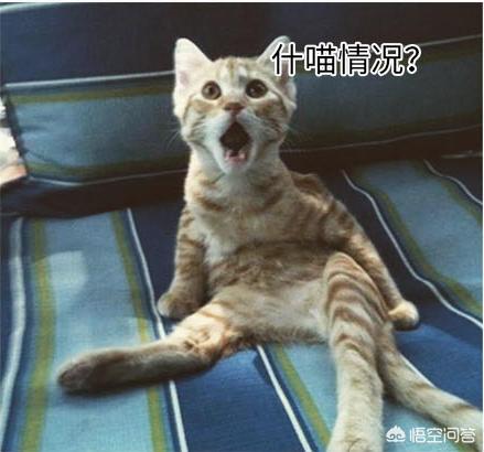 有奖活动：世界战争史上都有哪些不可思议的神操作<strong></p>
<p>币安交易官网</strong>？