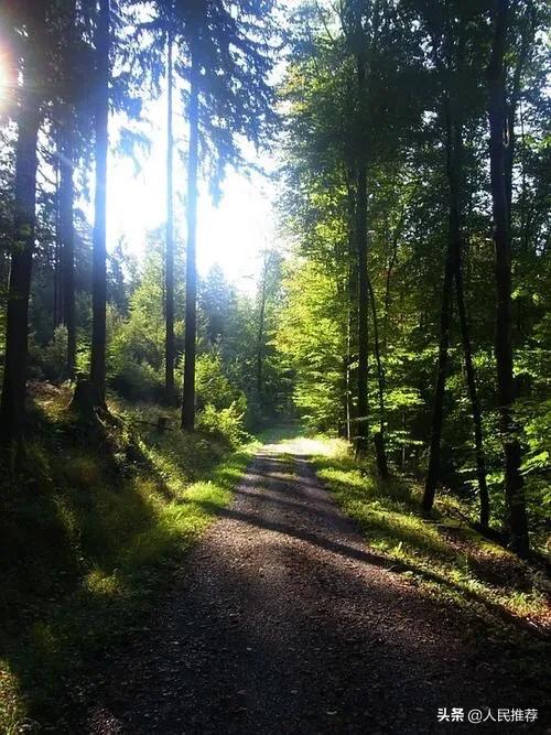 区块链的机遇和风险是什么？为什么？