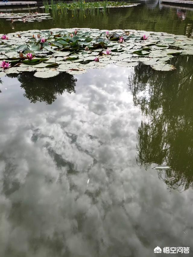 封建社会最发达的朝代宋朝，为何又是最弱的朝代？