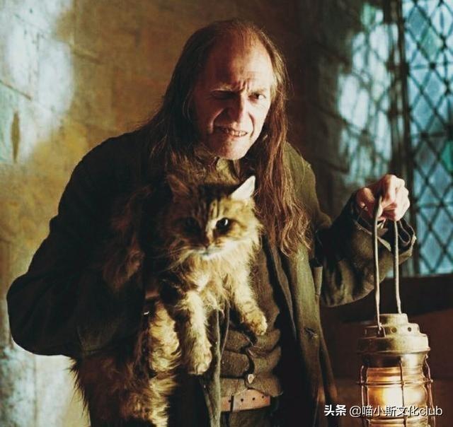 假如你有机会进入《哈利·波特》<strong></p>
<p>阿格斯</strong>,但代价是变成乌姆里奇、疯眼汉、贝拉或者费尔奇,你会选择谁?为什么?