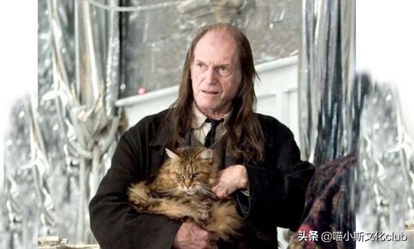 假如你有机会进入《哈利·波特》<strong></p>
<p>阿格斯</strong>,但代价是变成乌姆里奇、疯眼汉、贝拉或者费尔奇,你会选择谁?为什么?