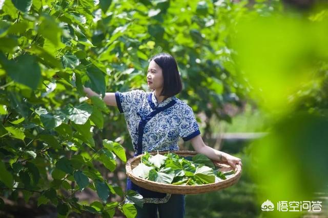 去苏州旅游<strong></p>
<p>乐币网</strong>,有哪些适合孩子去的地方?