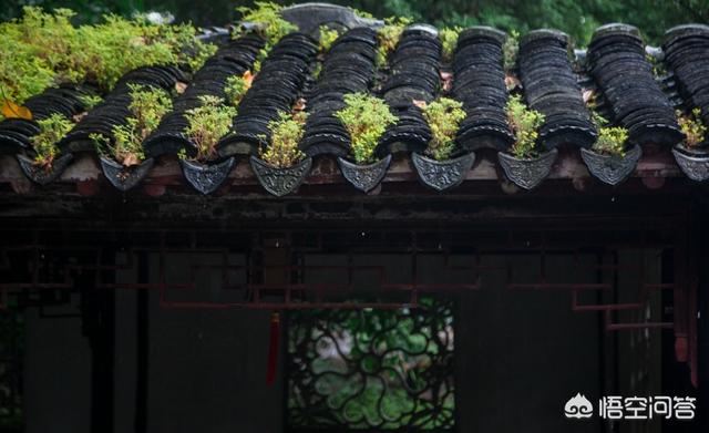 去苏州旅游<strong></p>
<p>乐币网</strong>,有哪些适合孩子去的地方?