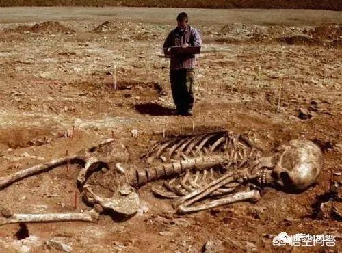 历史上真的存在巨人吗？