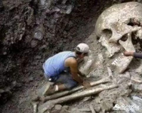 历史上真的存在巨人吗<strong></p>
<p>GOW</strong>?