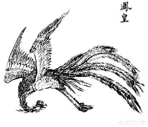 凤凰究竟是个传说<strong></p>
<p>凤凰全球</strong>,还是真实存在过的物种?
