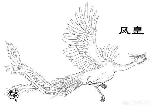凤凰究竟是个传说<strong></p>
<p>凤凰全球</strong>,还是真实存在过的物种?