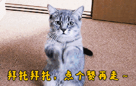 《绝地求生》FGS<strong></p>
<p>Liquid</strong>,Liquid认怂,17吃鸡并宣布P城主权,OMG倒数第一出局,你有何看法?