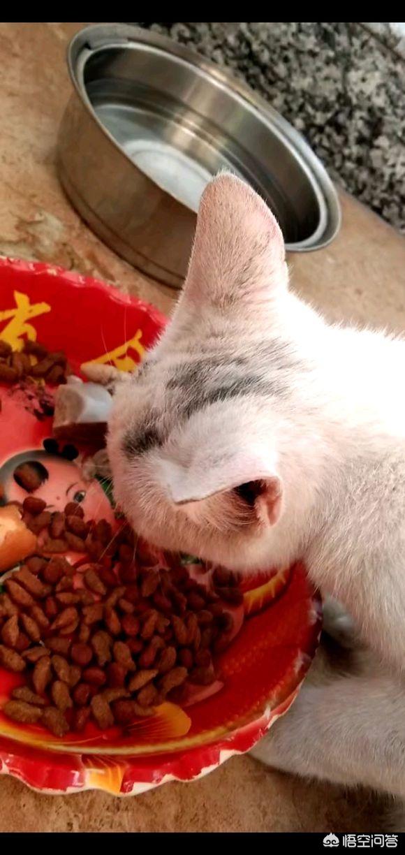 有哪位网友能分享一下交易猫的经历吗<strong></p>
<p>币龙网</strong>？