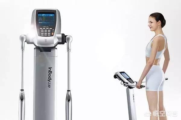 体脂率怎么计算<strong></p>
<p>BMEX</strong>？