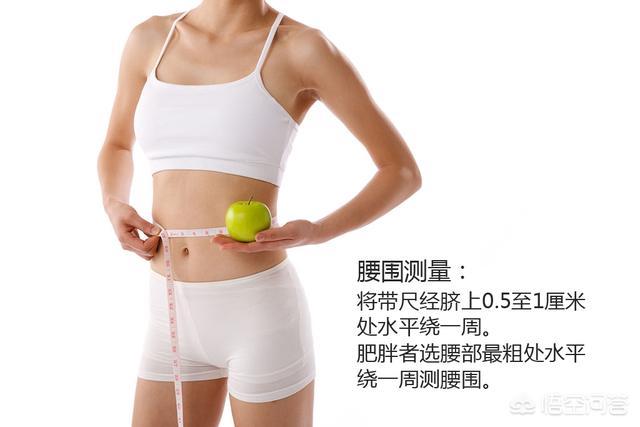 体脂率怎么计算<strong></p>
<p>BMEX</strong>？