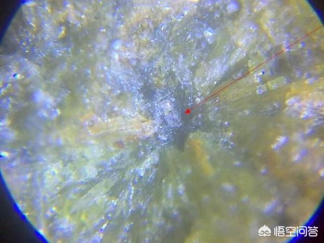 黑色的玻璃陨石含有柯石英吗？