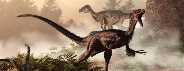 《莱瑟塔档案》是真的吗<strong></p>
<p>柯宾汉</strong>?地心蜥蜴人真的存在吗?