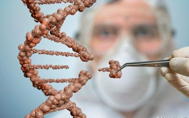 《莱瑟塔档案》是真的吗<strong></p>
<p>柯宾汉</strong>?地心蜥蜴人真的存在吗?