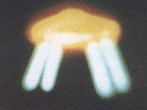 《莱瑟塔档案》是真的吗<strong></p>
<p>柯宾汉</strong>?地心蜥蜴人真的存在吗?