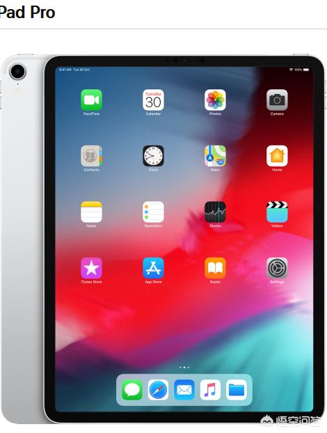 ipad pro 12.9和kindle oasis看书哪个好<strong></p>
<p>Oasis</strong>?