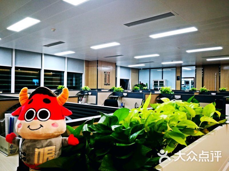 国信证券公司(国信证券公司待遇怎么样) 国信证券公司(国信证券公司待遇怎么样)