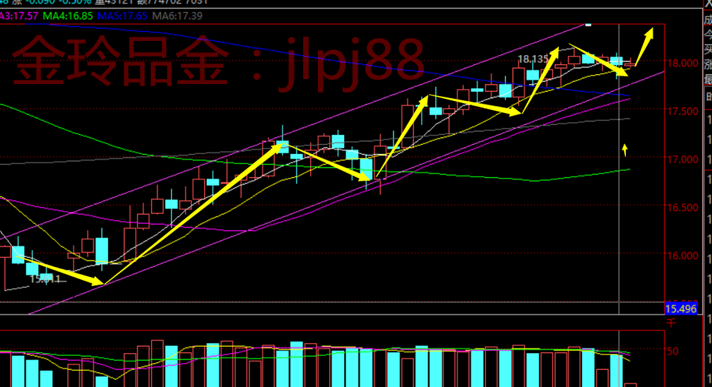 金玲理财(金邻理财能买吗)