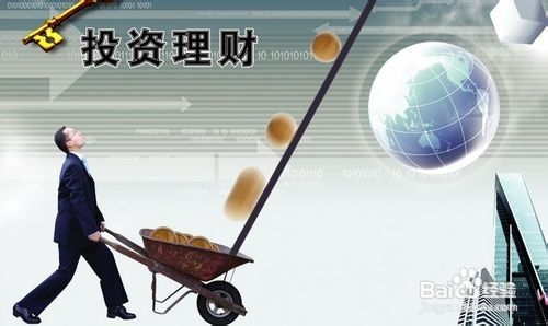 it和理财(理财与投资技术)