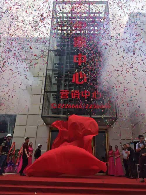 中鼎贵金属(中鼎贵金属有限公司)