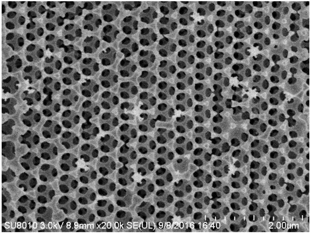 贵金属纳米材料(贵金属纳米材料具有高催化活性的原因)