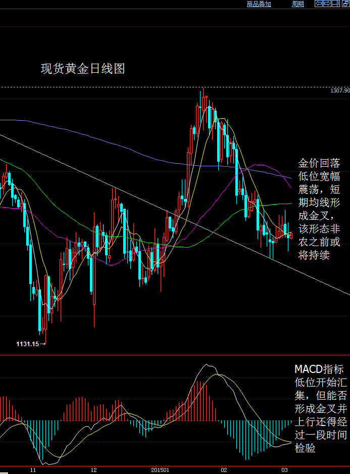 大田环球贵金属官网(大田环球贵金属官网交易策略)