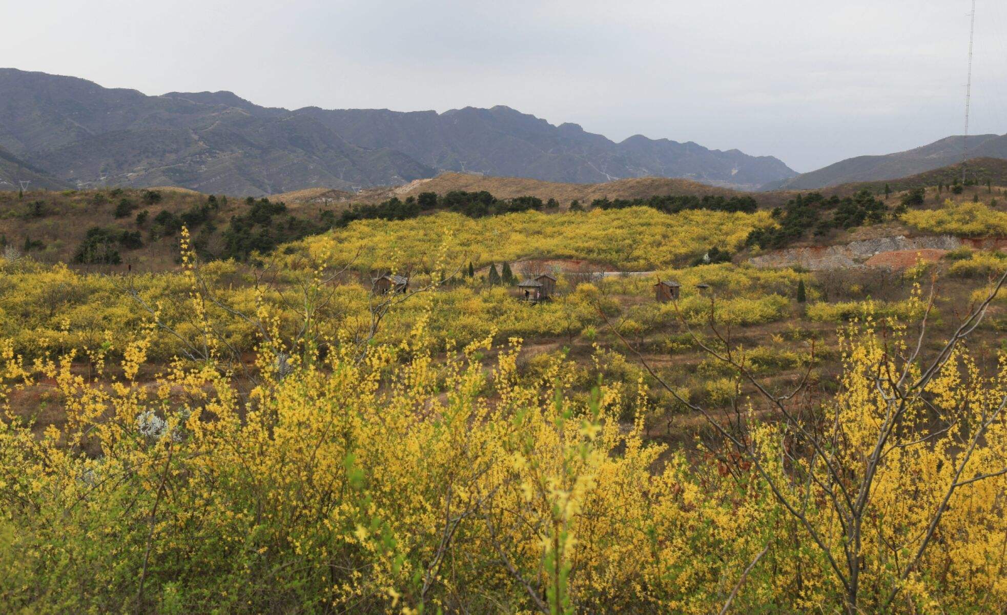 谷金贵金属(金拓贵金属网)