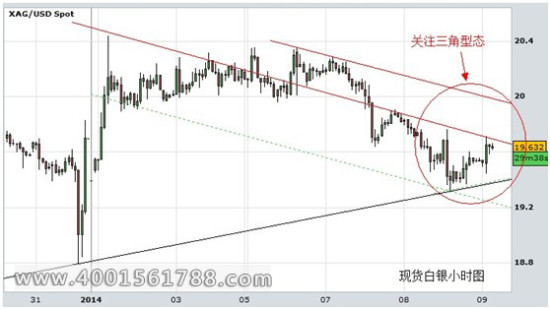 广东金明贵金属(广东金明贵金属交易时间)
