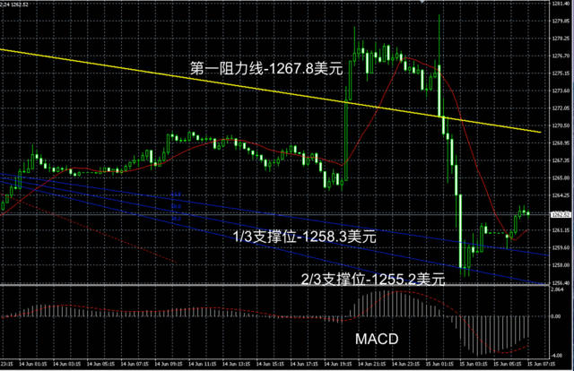 领峰贵金属现货黄金(领峰贵金属现货黄金交易软件下载)