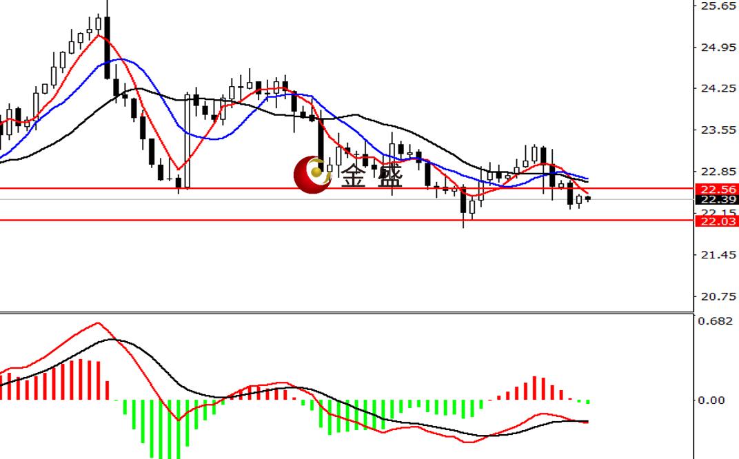 金盛贵金属官网(金盛贵金属官网手机版)