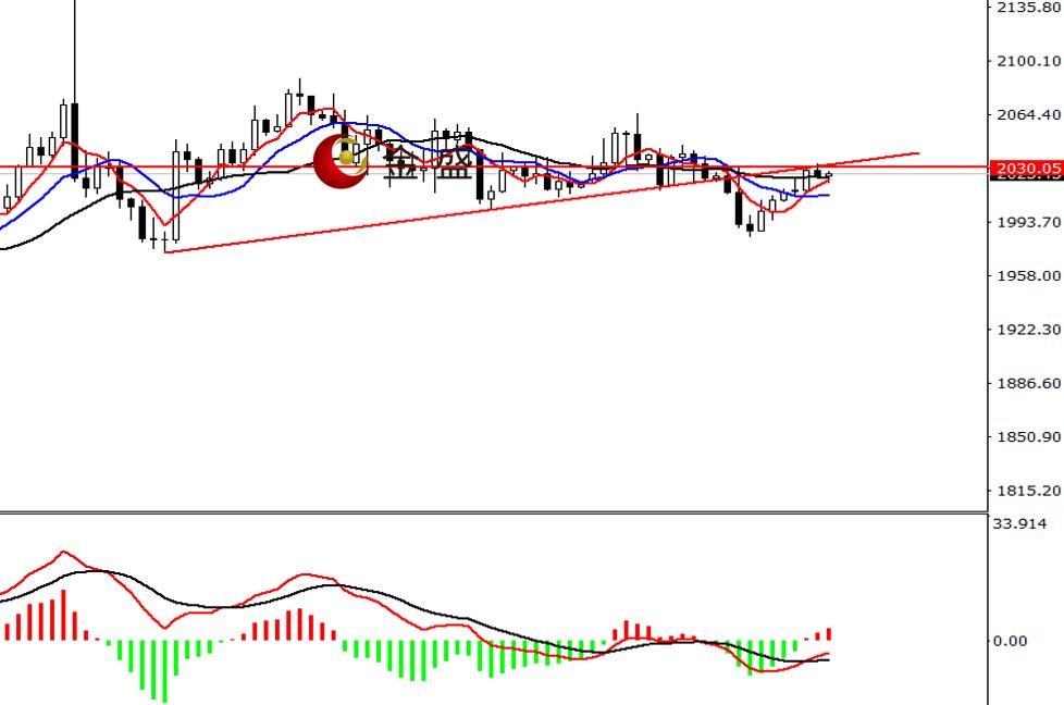 金盛贵金属官网(金盛贵金属官网手机版下载安装)