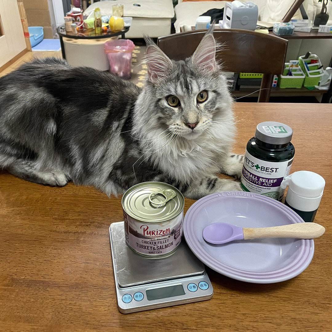 德金贵金属(山东成德贵金属有限公司)