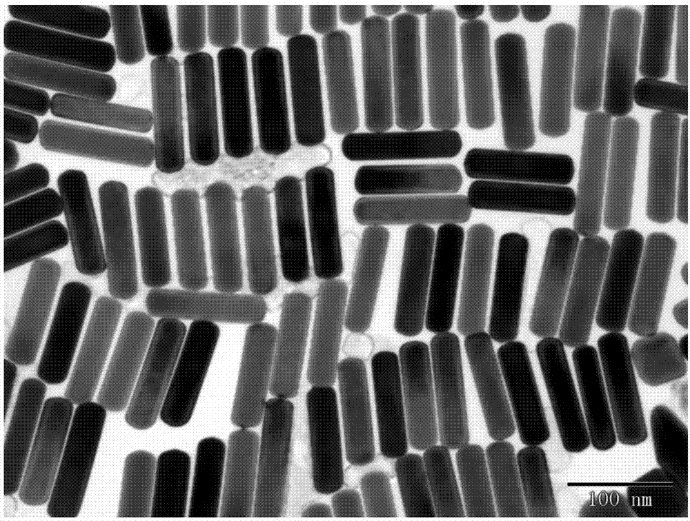 贵金属纳米材料(贵金属纳米材料的制备)