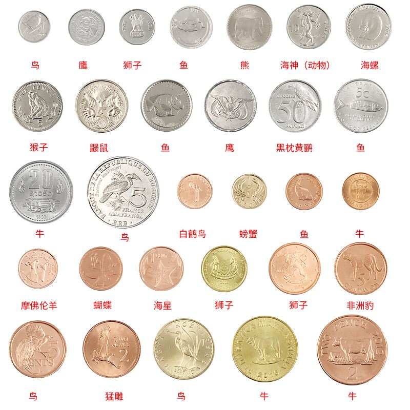 贵金属投资基础知识(贵金属投资基础知识答案)