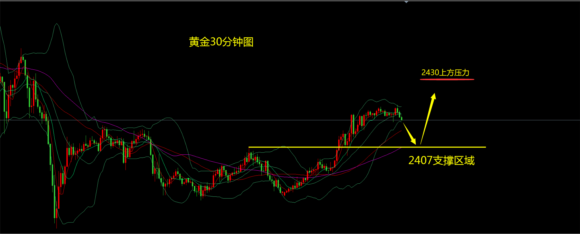 今日贵金属走势(金拓贵金属实时行情走势)