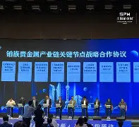 上海宁翼贵金属(上海宁羿生物科技有限公司)