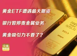 维翰贵金属(维翰什么意思) 维翰贵金属(维翰什么意思)