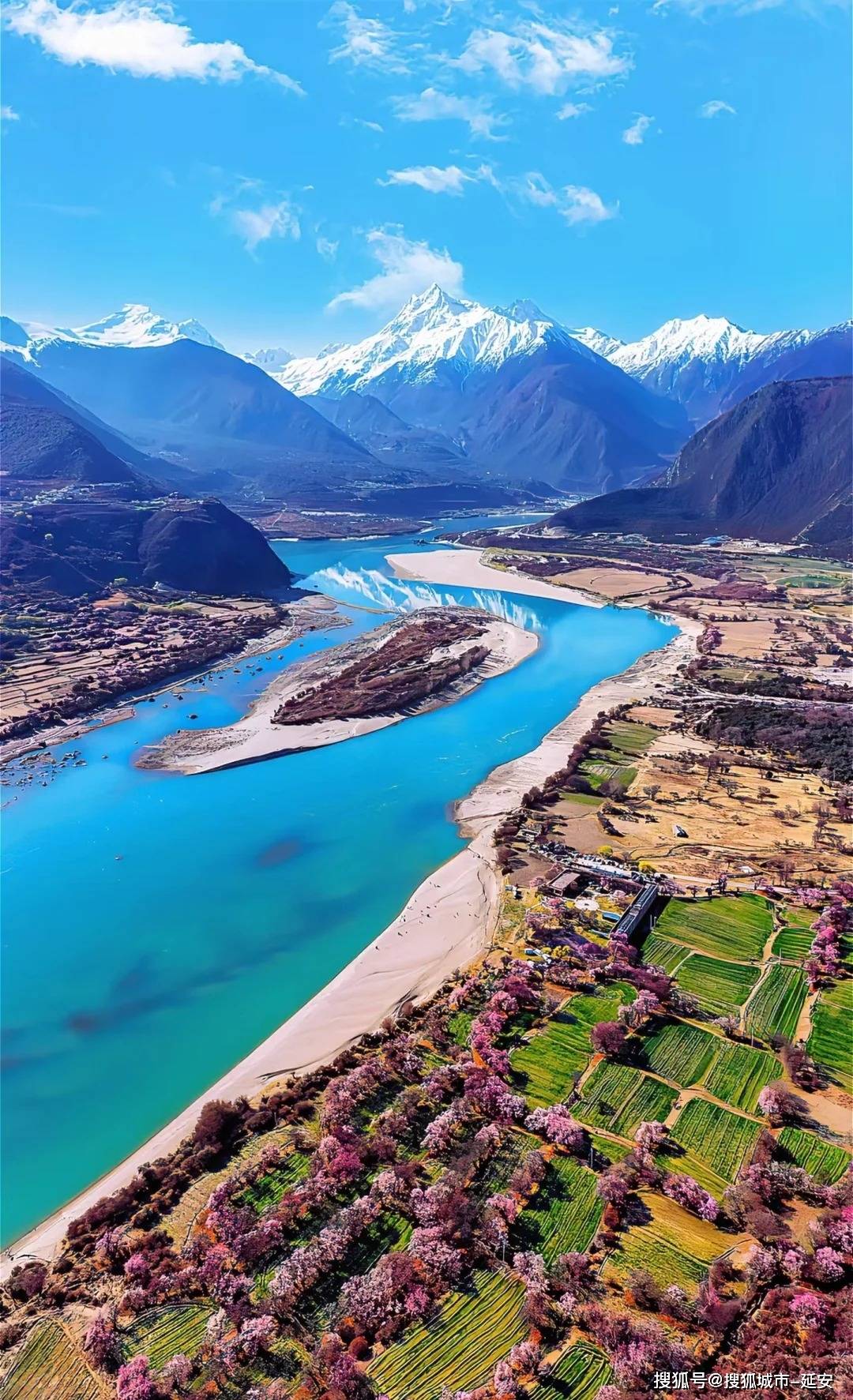 西藏(西藏自治区税务局)