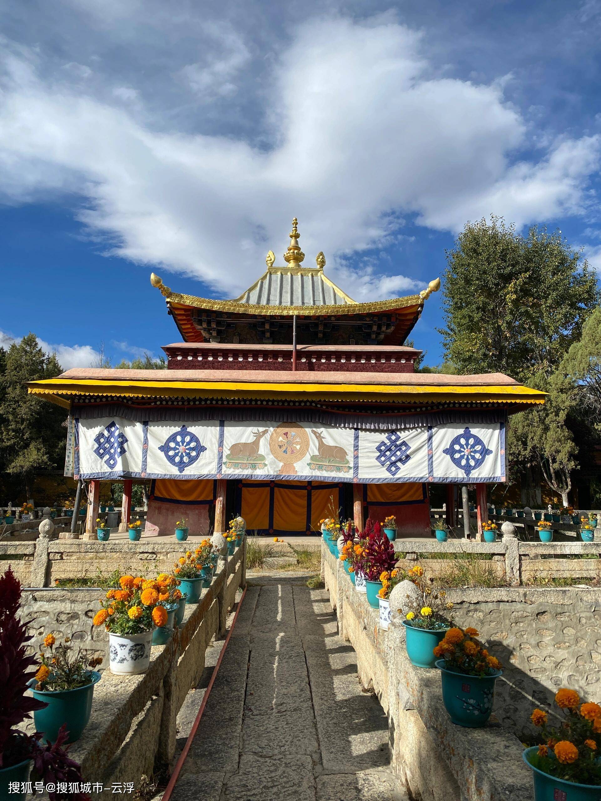 西藏(西藏自治区税务局)