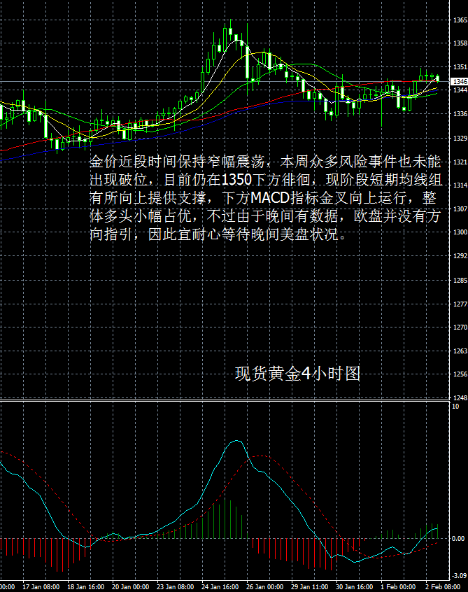 大田环球贵金属官网(大田环球贵金属app下载)